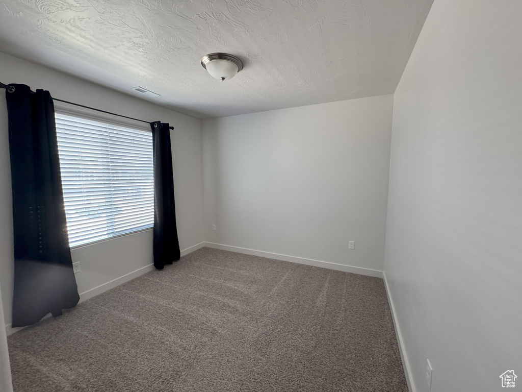 Unfurnished room featuring carpet floors and a textured ceiling