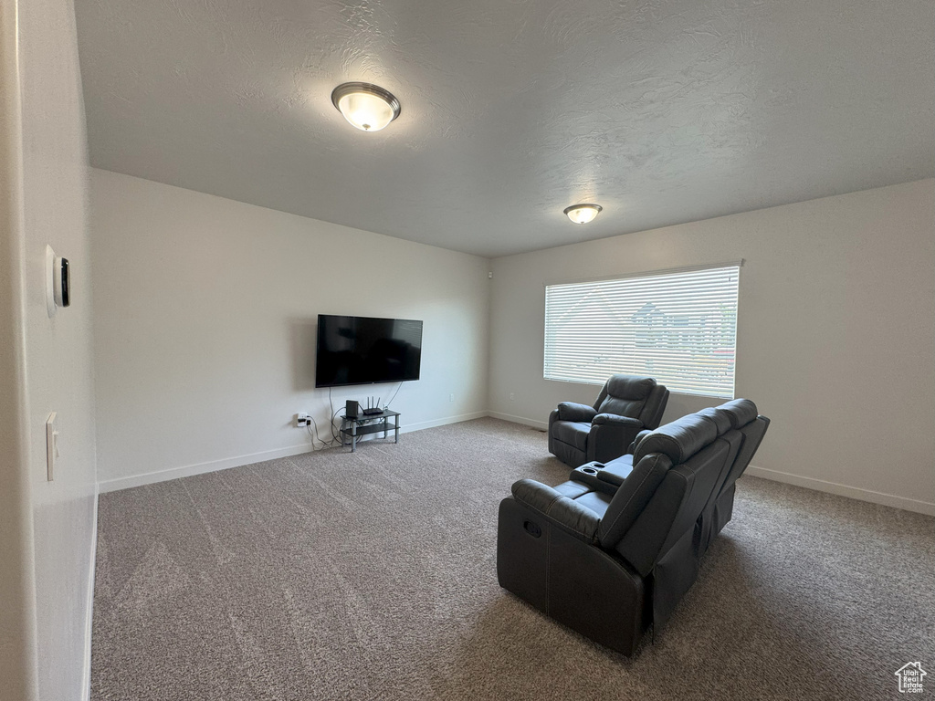 Living room with carpet flooring and a textured ceiling