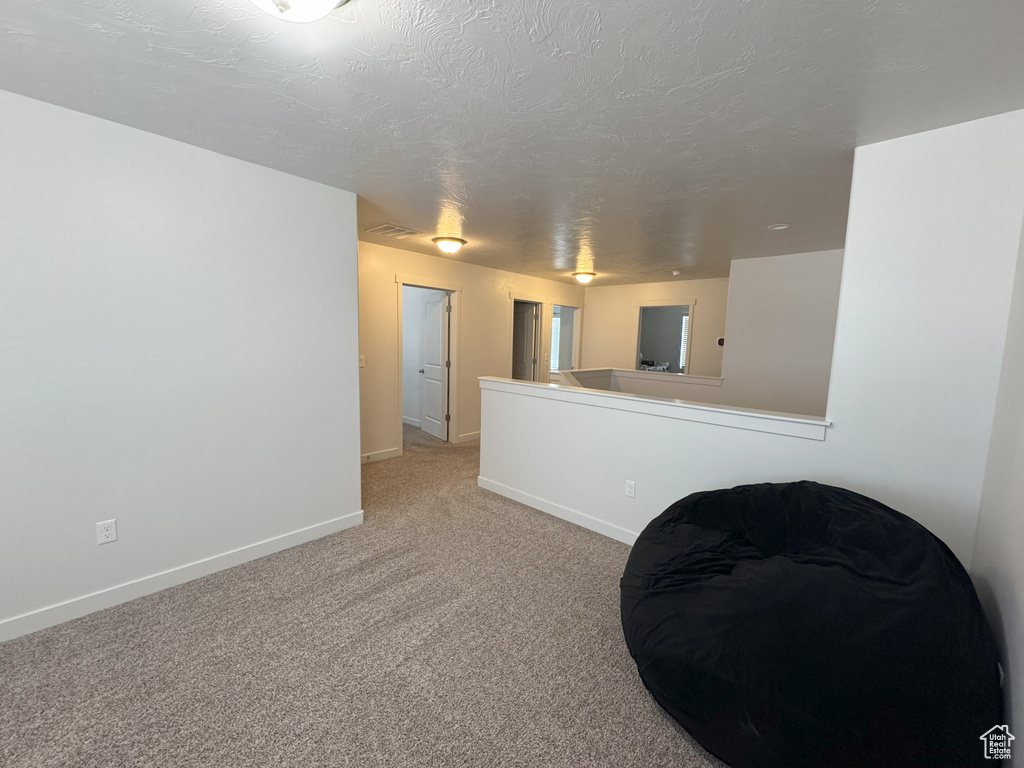 Unfurnished room with light carpet and a textured ceiling