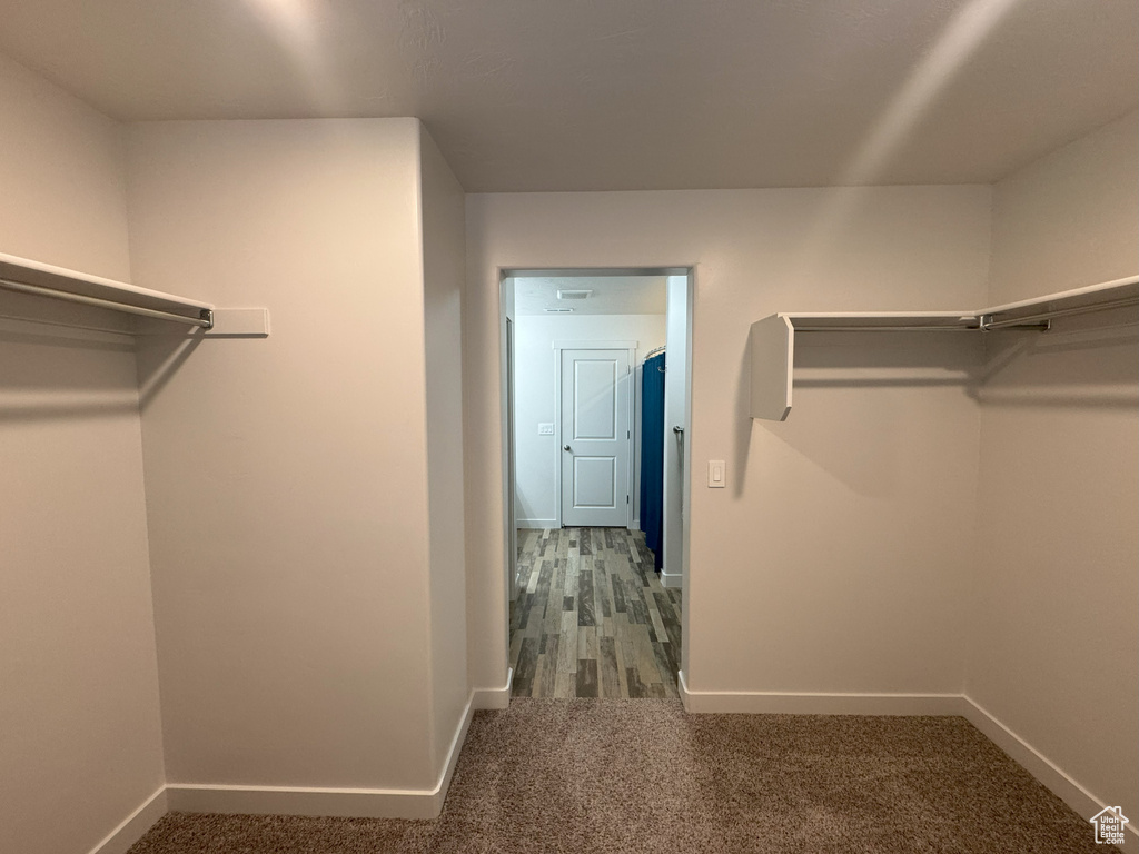 Walk in closet with carpet flooring