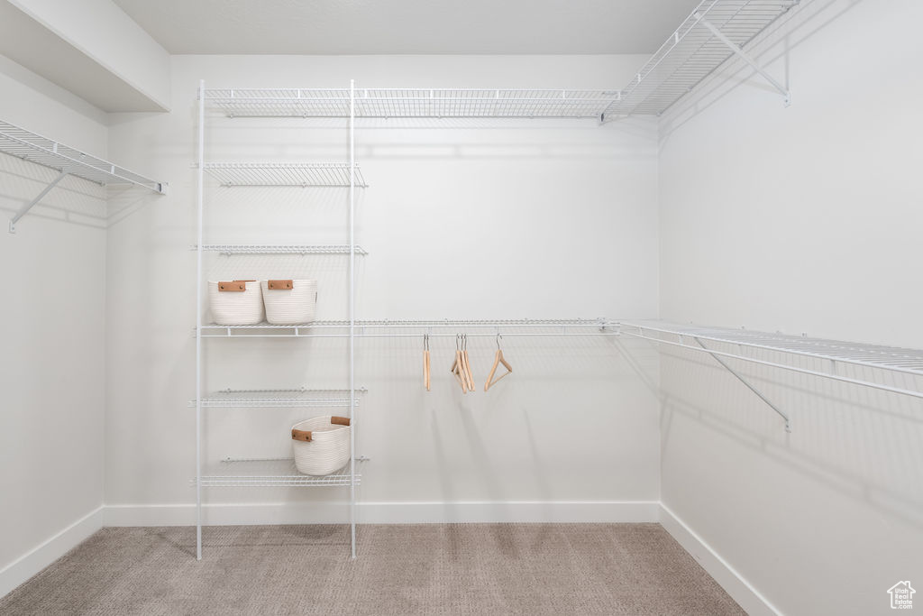 Spacious closet with carpet floors