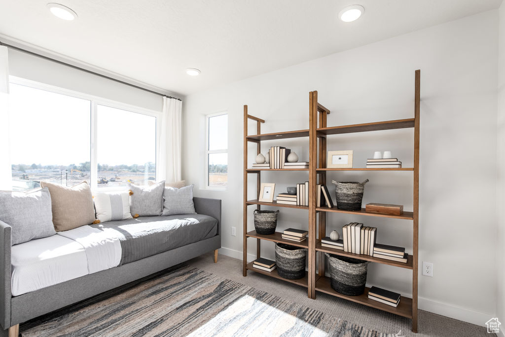 Living area featuring carpet floors and recessed lighting