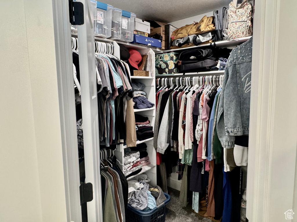 View of walk in closet