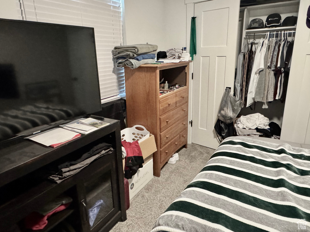 Bedroom with a closet and carpet