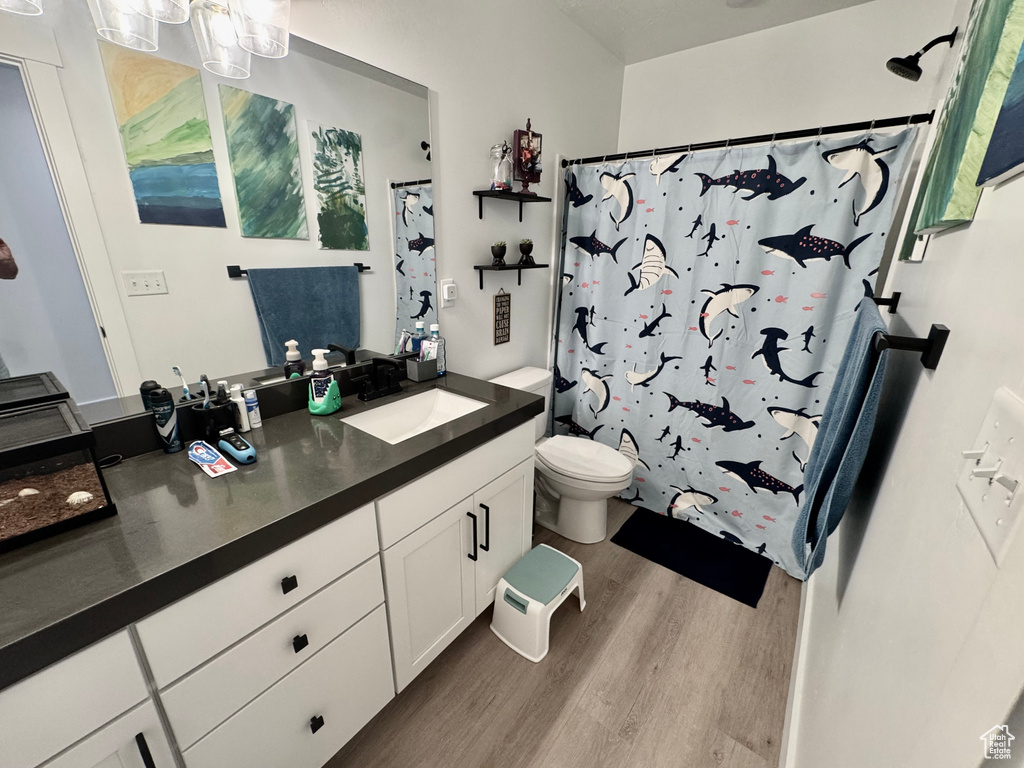 Bathroom with wood finished floors, vanity, and a shower with curtain