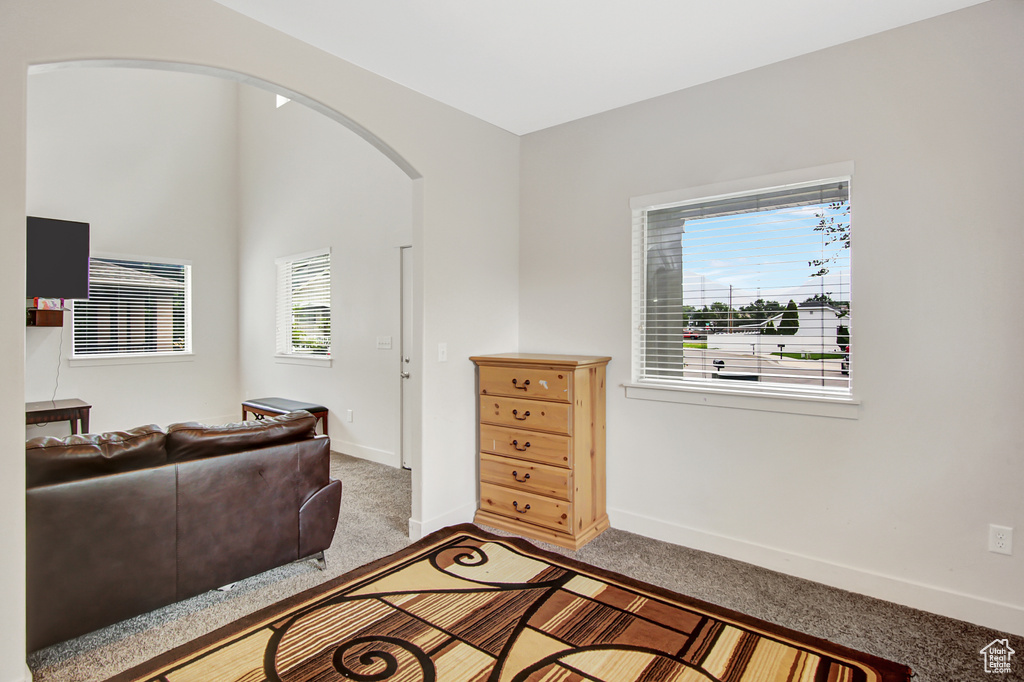 Living area with carpet and arched walkways