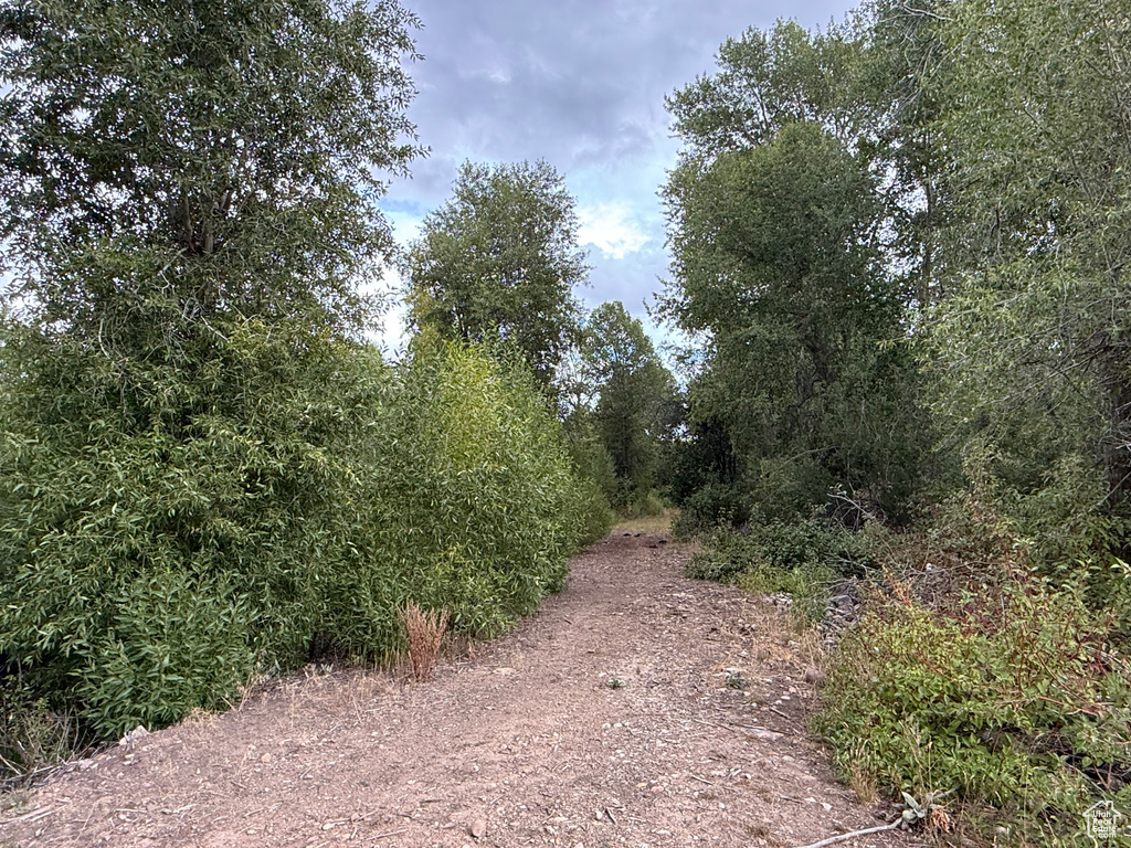 Woodland, UT 84036