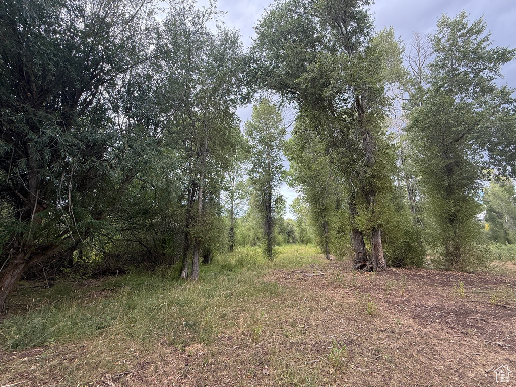  Woodland, UT 84036