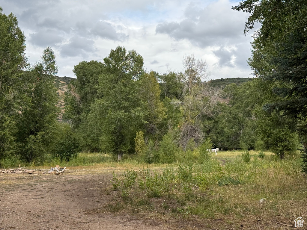  Woodland, UT 84036