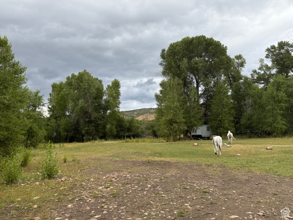  Woodland, UT 84036