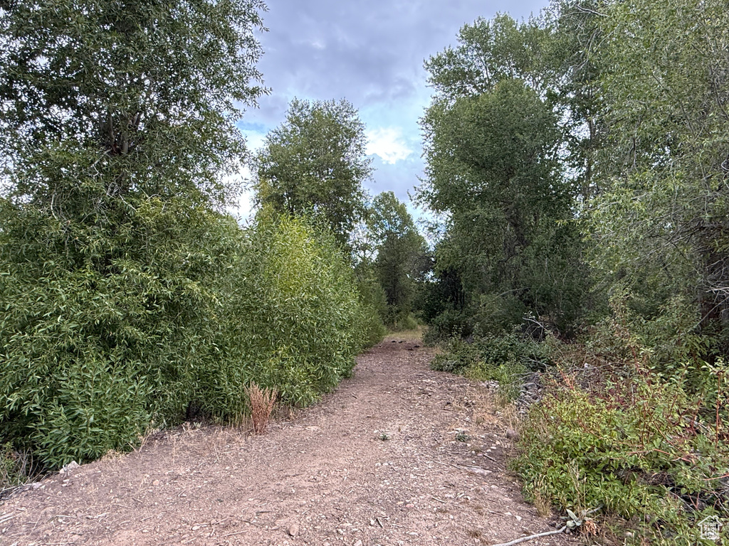  Woodland, UT 84036
