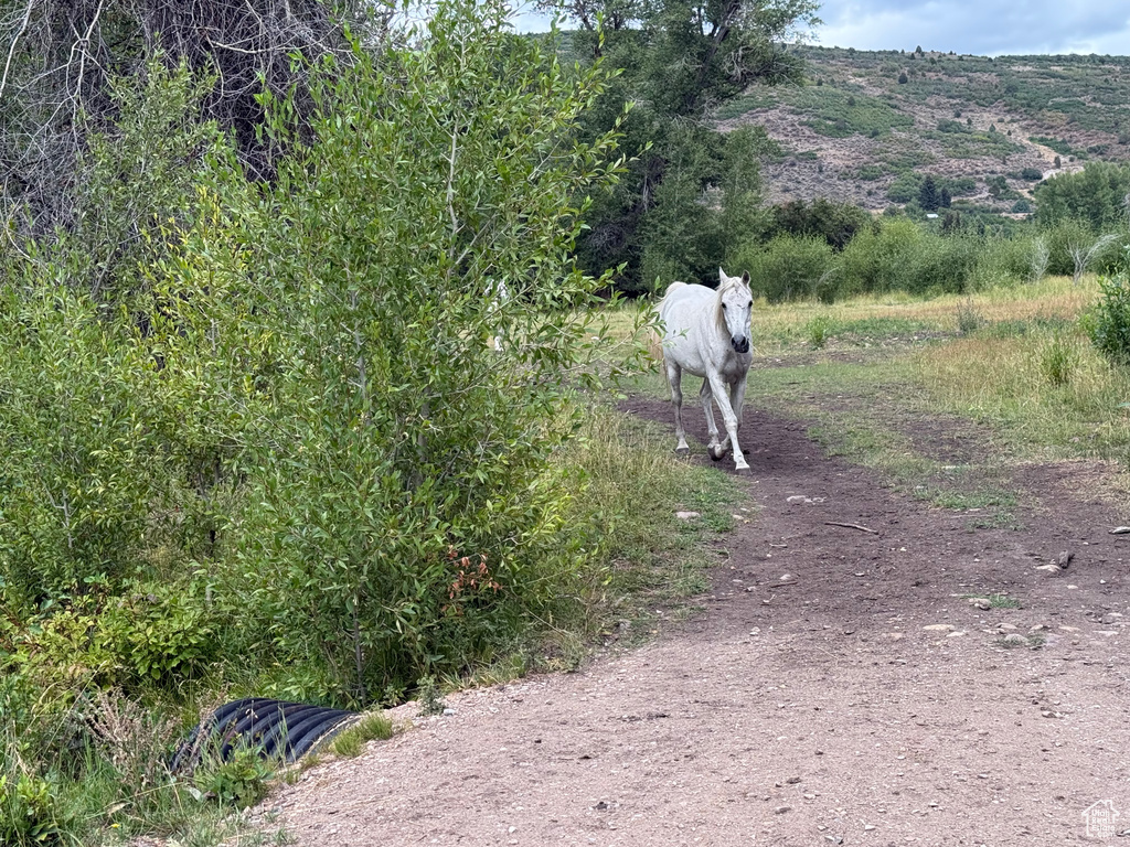  Woodland, UT 84036