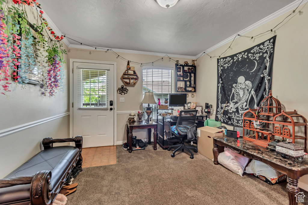Office area featuring ornamental molding and carpet floors