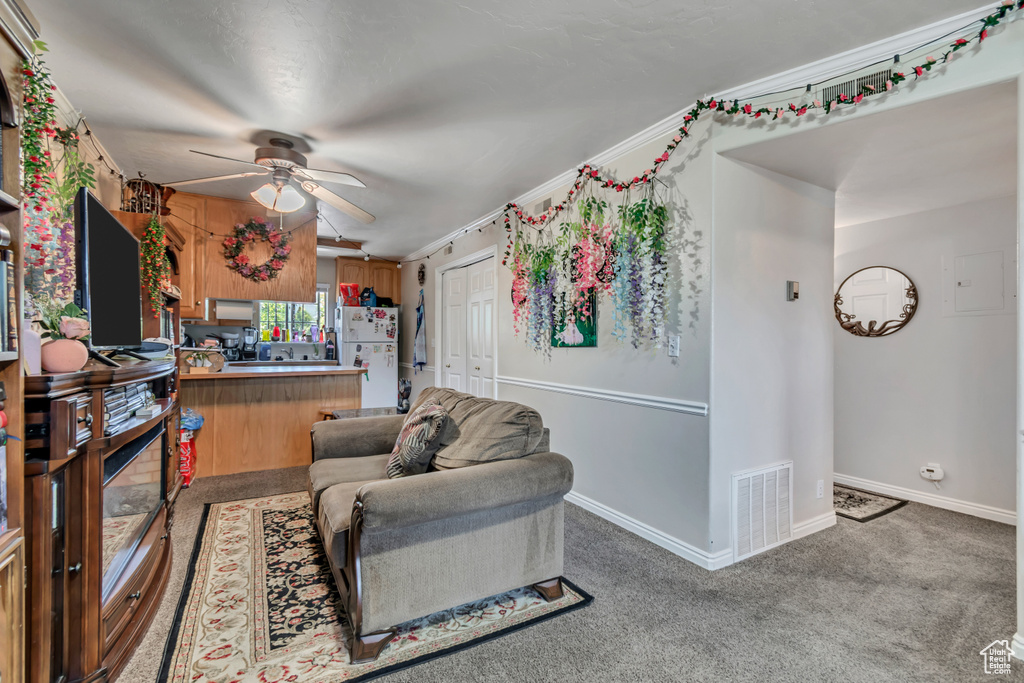 Living area with a ceiling fan, carpet floors, and crown molding
