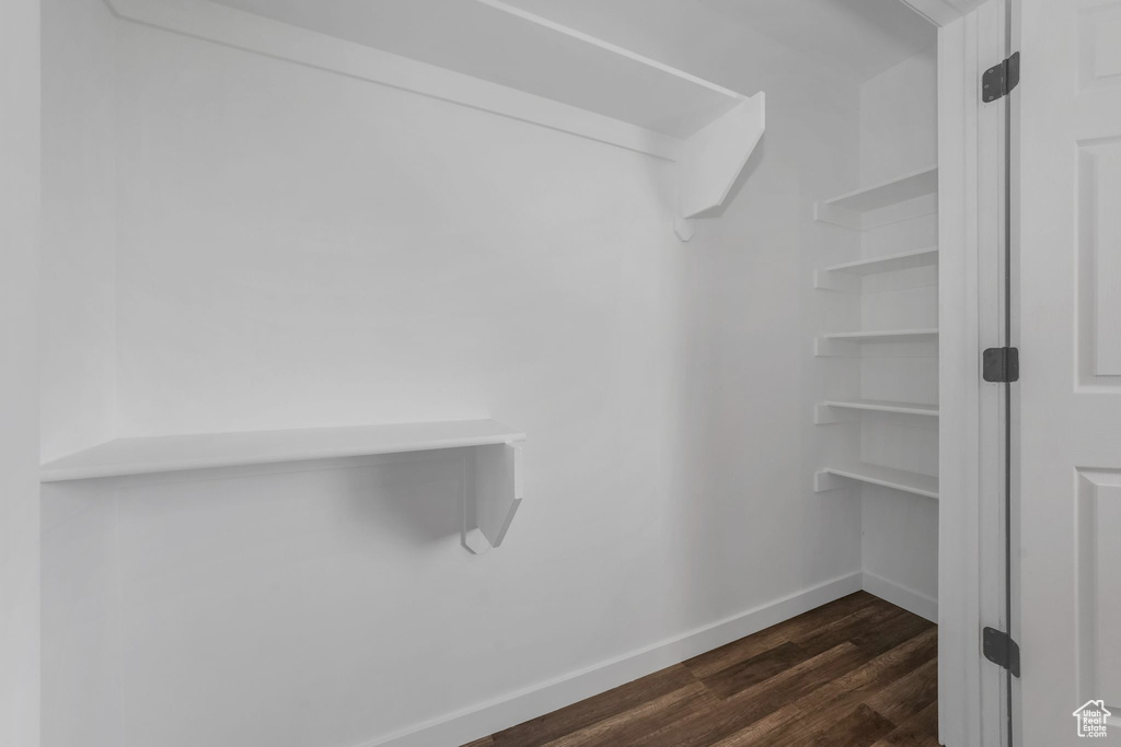 Walk in closet featuring dark wood finished floors
