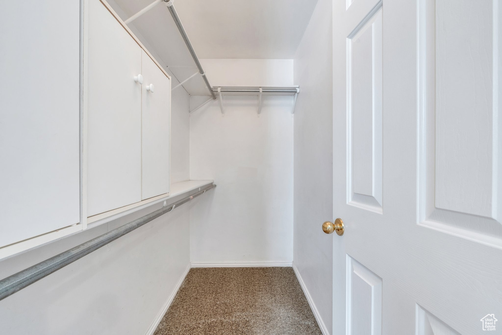 Spacious closet featuring carpet floors