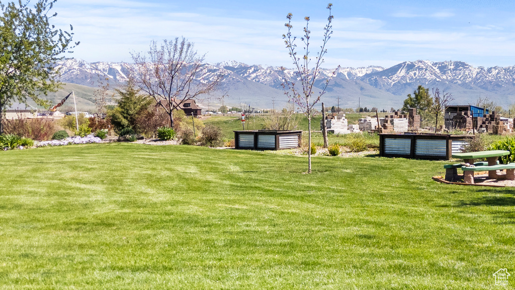 View of grassy yard with a mountain view