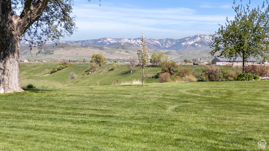 Mountain view