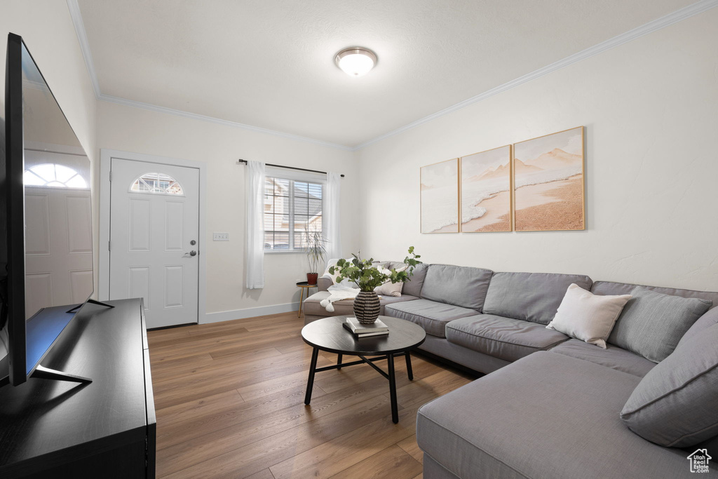 Living area featuring ornamental molding and light wood-style floors