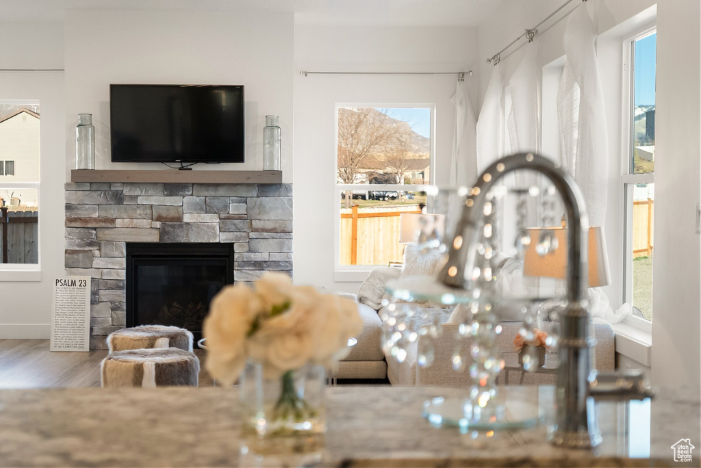 Living room featuring wood finished floors and a stone fireplace