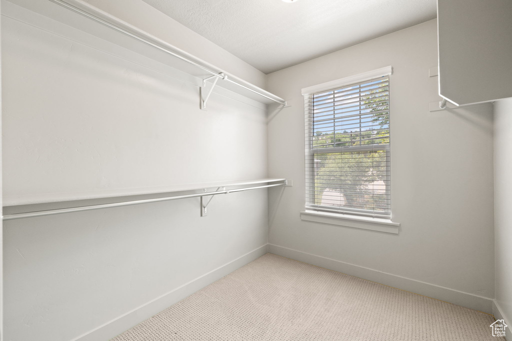Walk in closet with carpet floors