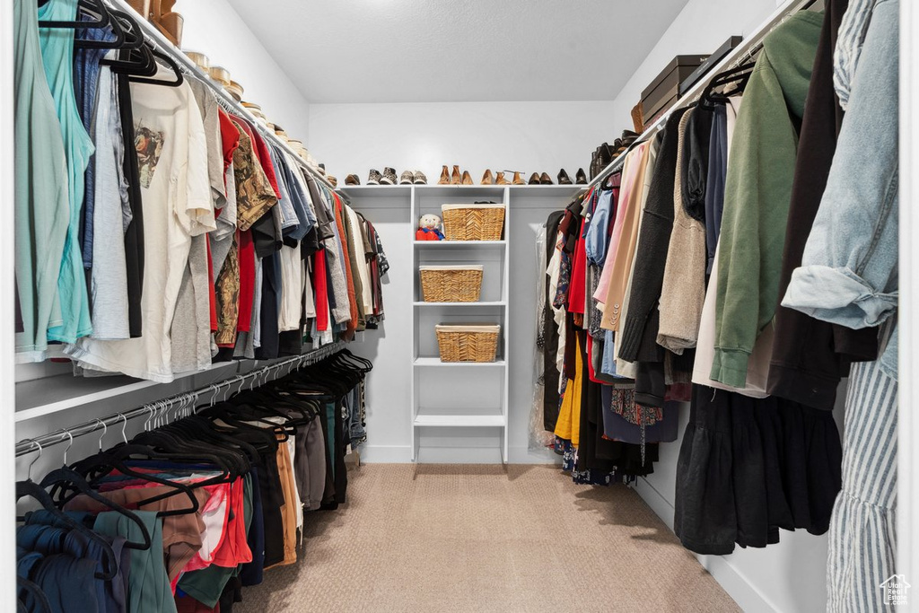 Spacious closet featuring carpet
