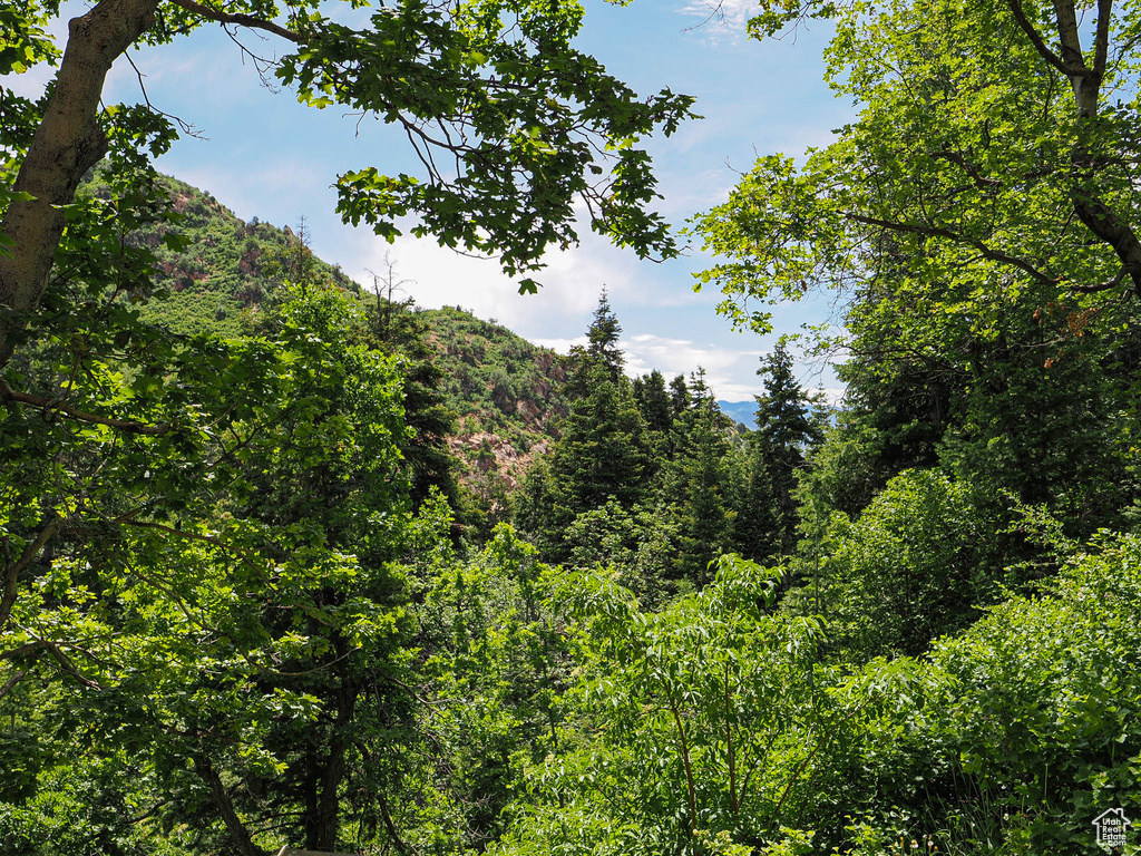 View of woods