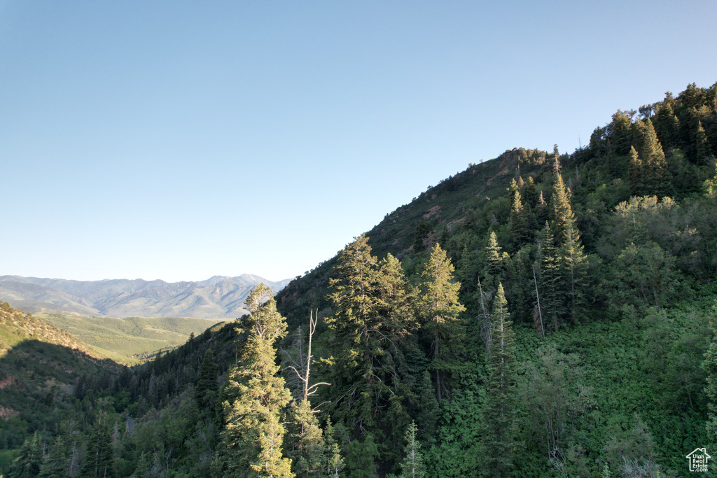 View of mountain background featuring a heavily wooded area