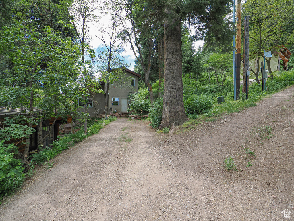 View of dirt / gravel road