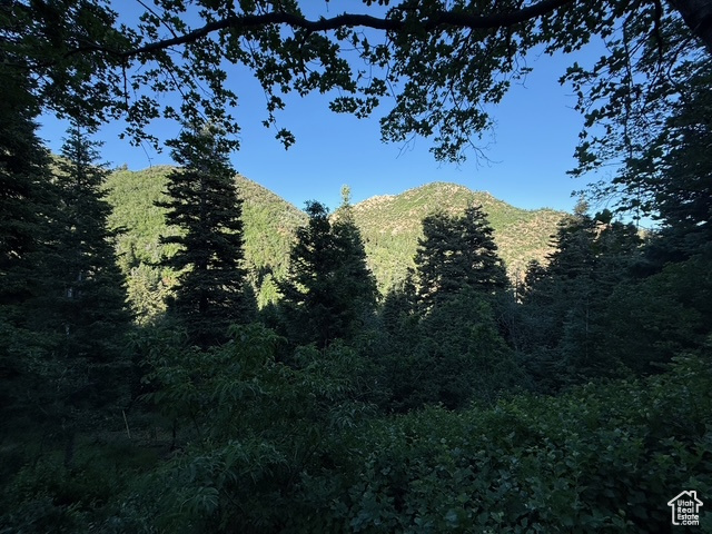 Mountain view with a heavily wooded area