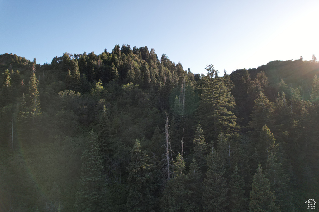 View of mountain backdrop with a forest