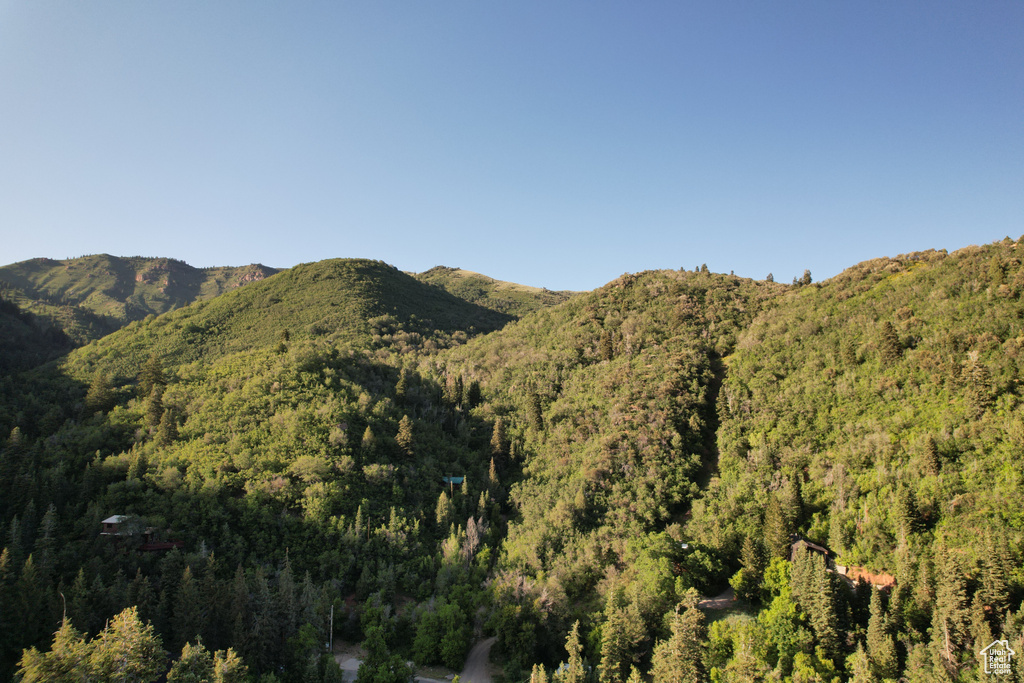 View of mountain backdrop with a heavily wooded area