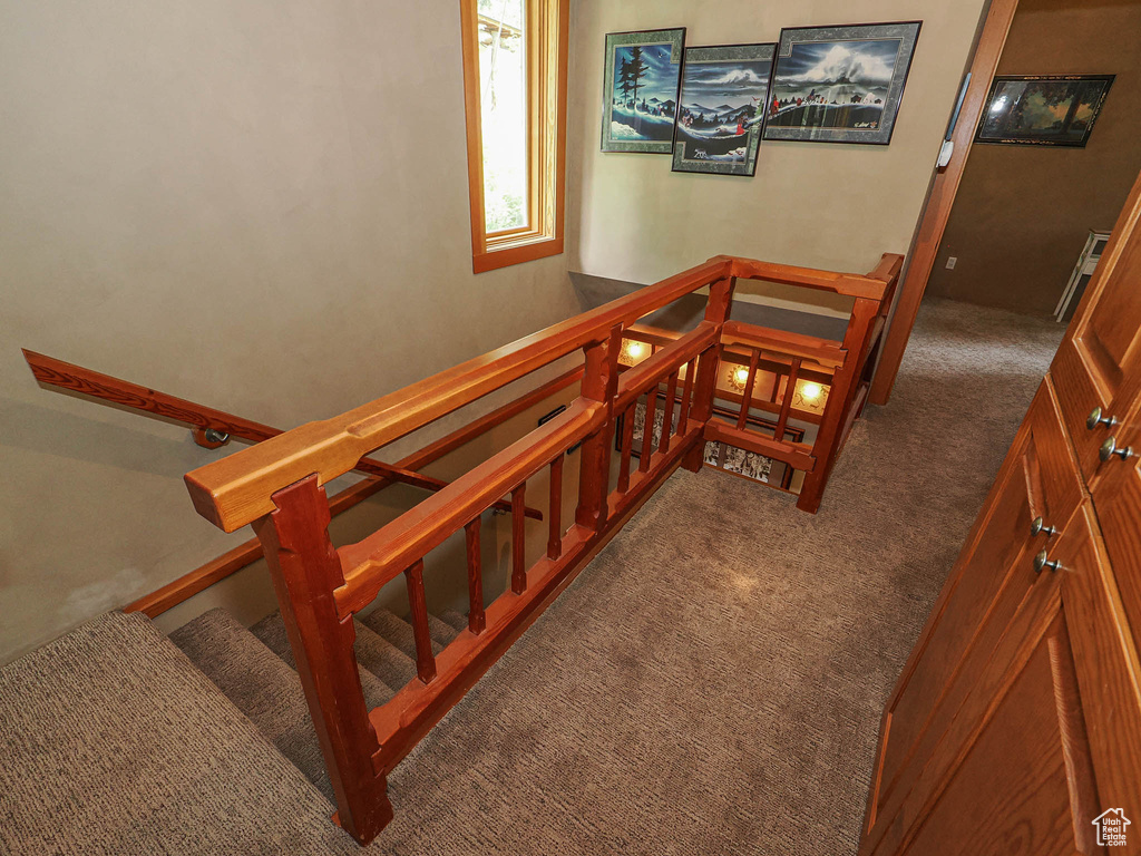 Staircase featuring carpet flooring