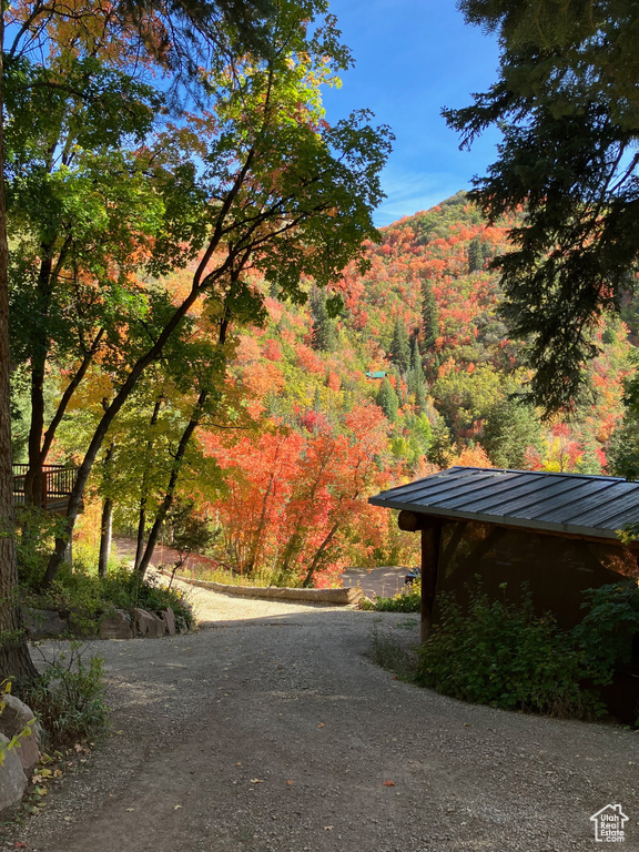 View of street featuring a forest view