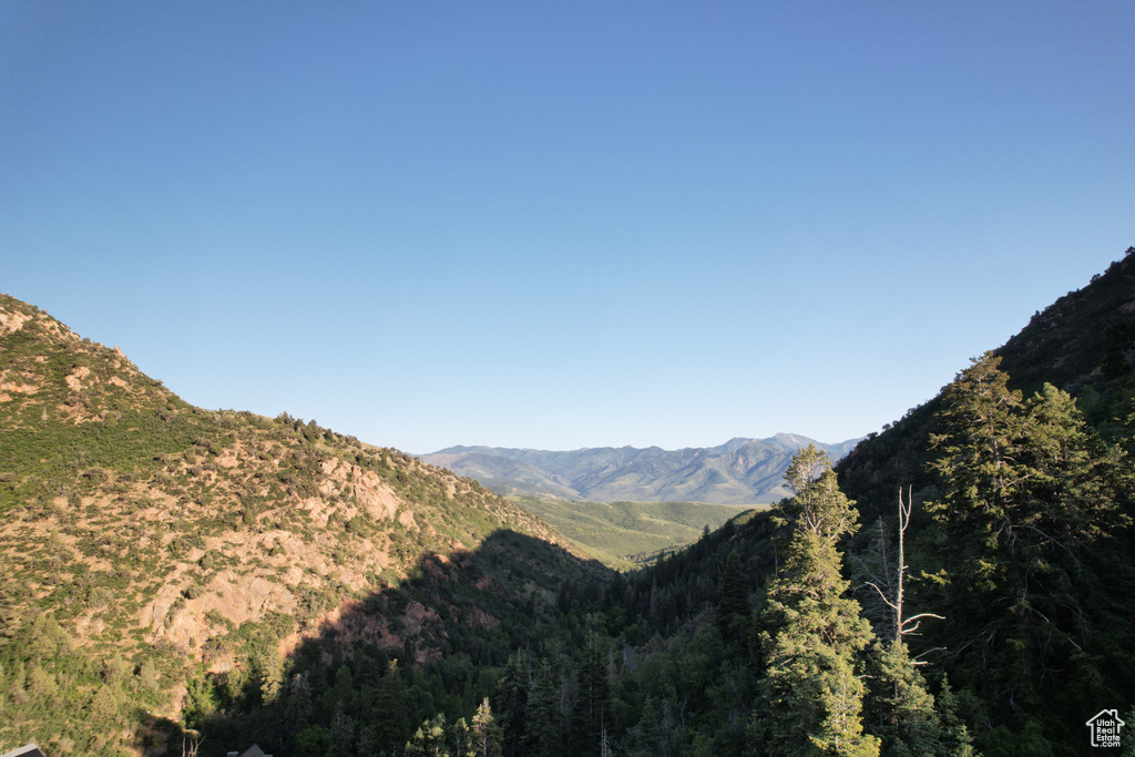 View of mountain background with a forest