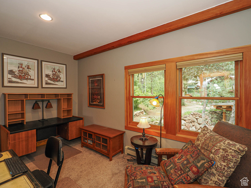 Office space featuring light carpet and a baseboard radiator