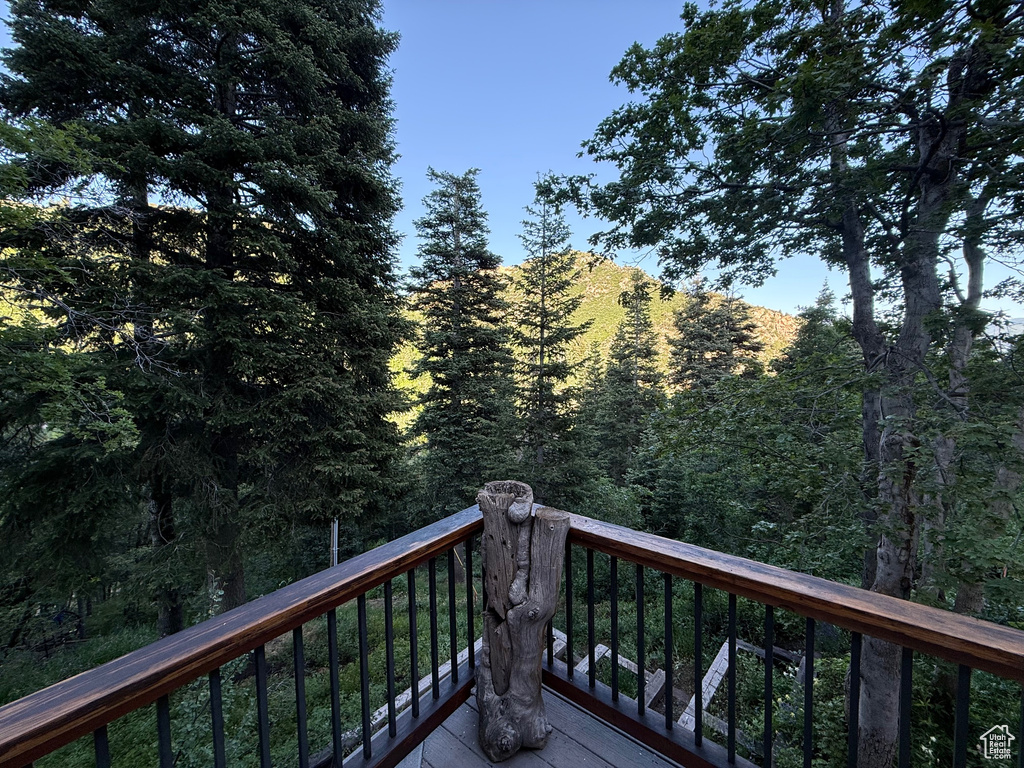 Wooden terrace with a wooded view