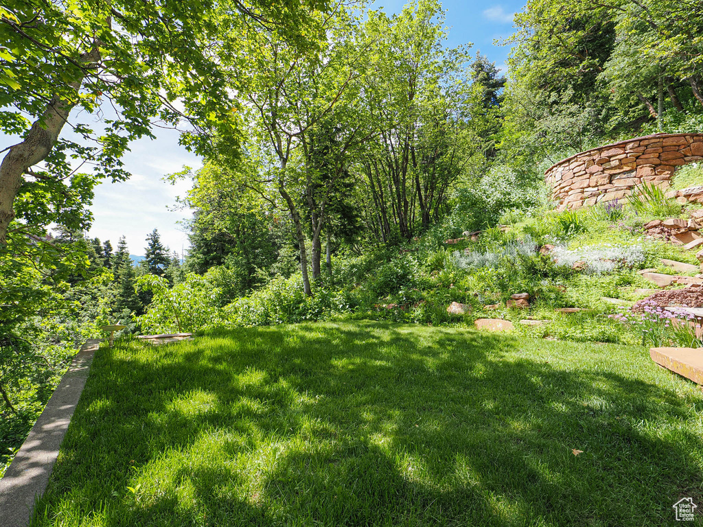 View of green lawn