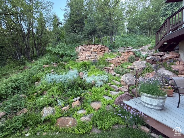 View of yard with a deck and a forest view