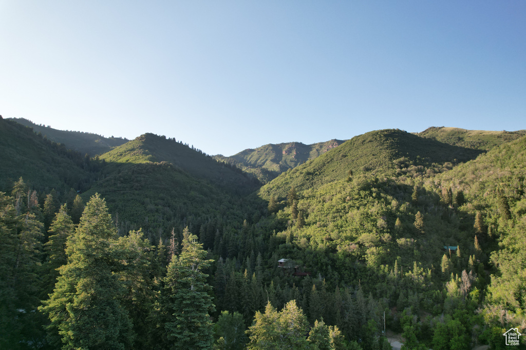View of mountain backdrop featuring a forest
