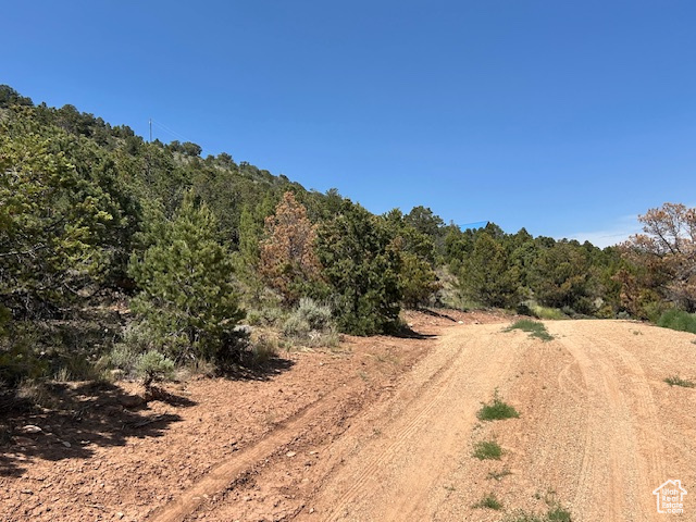 View of dirt / gravel road featuring a forest view