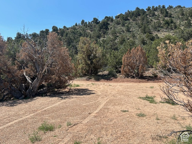 View of yard featuring a forest view