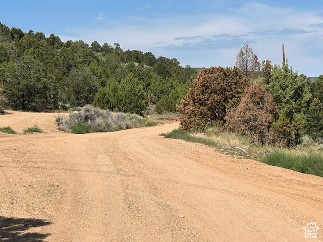 View of dirt / gravel road