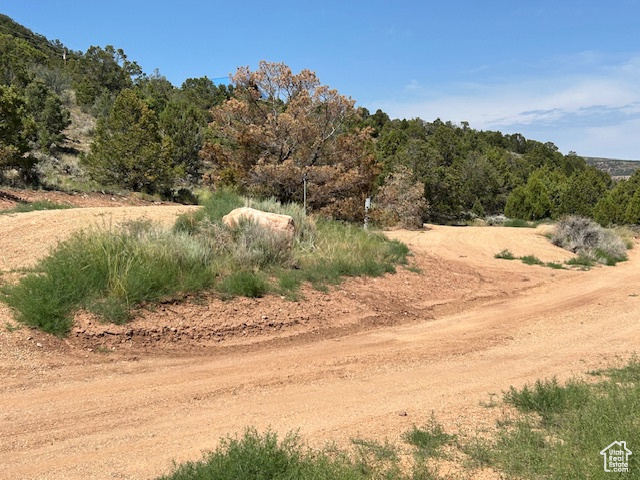 View of local wilderness