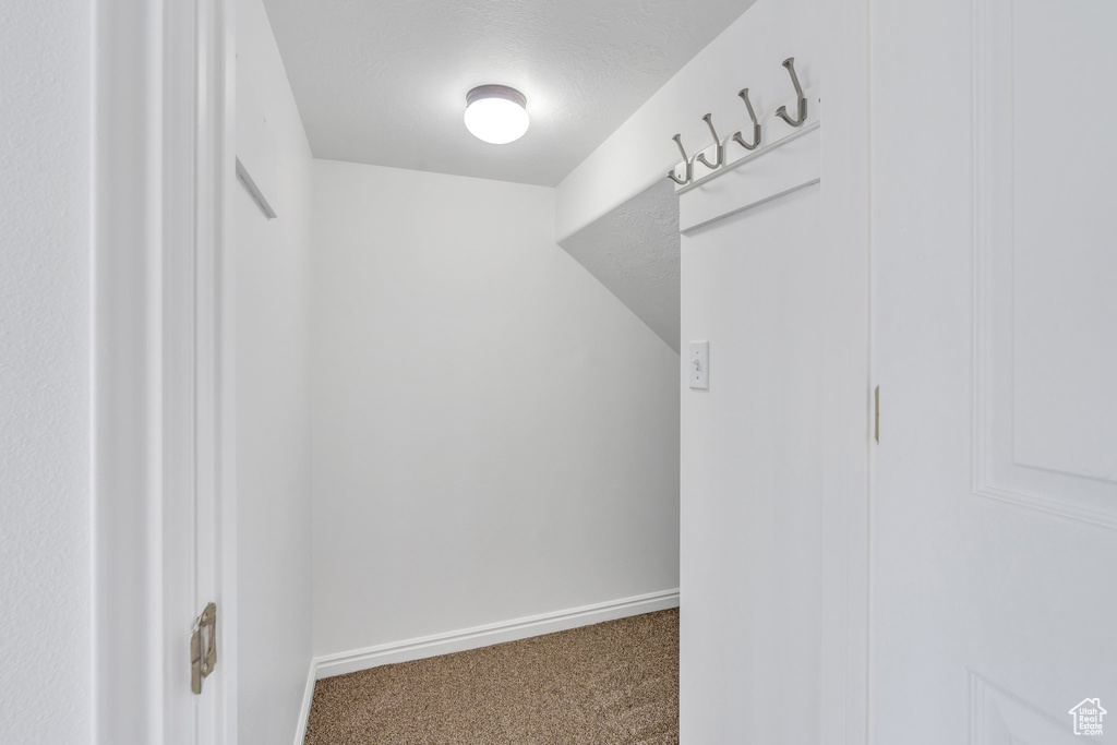 Mudroom with carpet flooring and baseboards