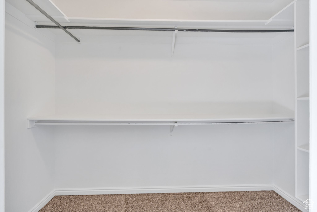 Spacious closet with carpet