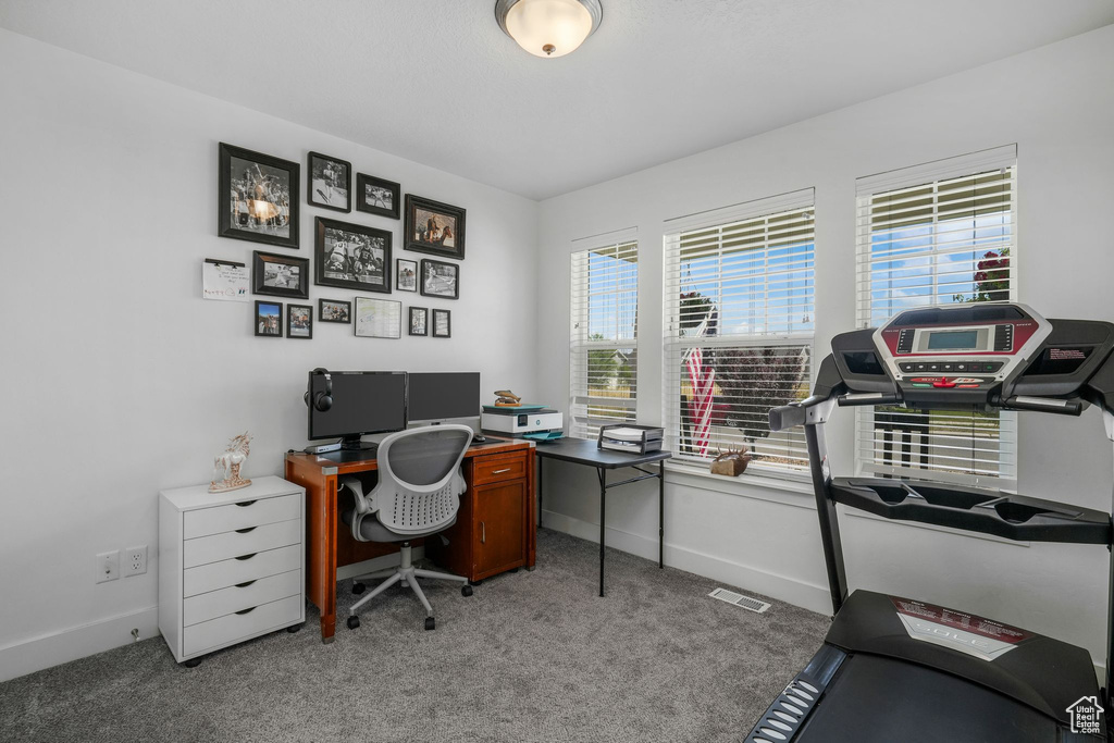 Office with light colored carpet and plenty of natural light