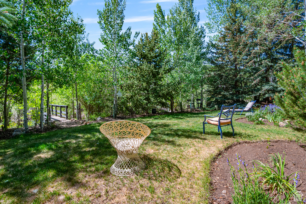 2442 LILY LANGTRY CT Park City, UT 84060