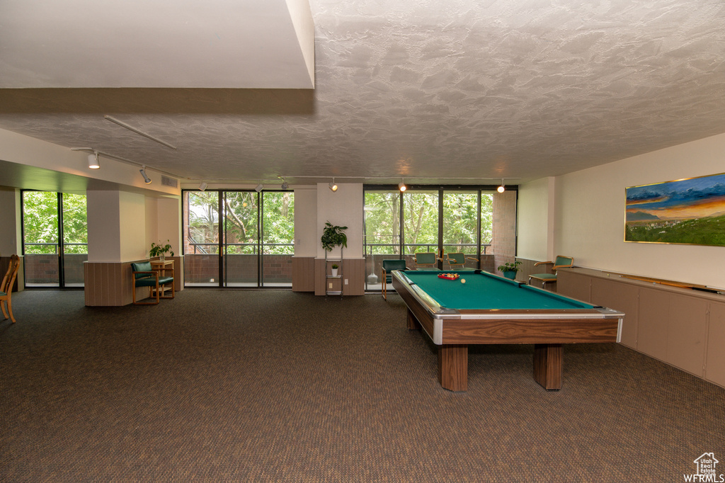 Game room featuring rail lighting, billiards, carpet, a textured ceiling, and healthy amount of natural light