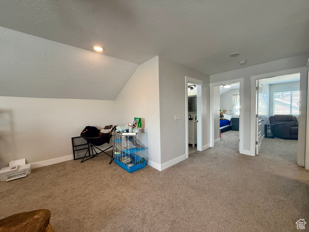 Bonus room featuring carpet, lofted ceiling, and a textured ceiling
